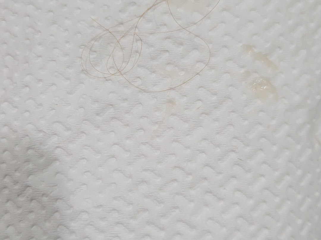 Wingate by Wyndham Ridgeland主图