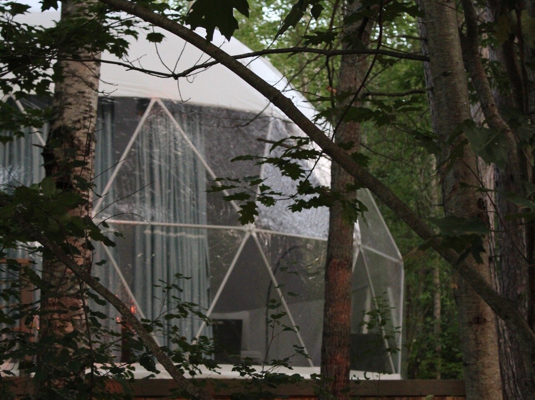 Algonquin's Edge Resort主图