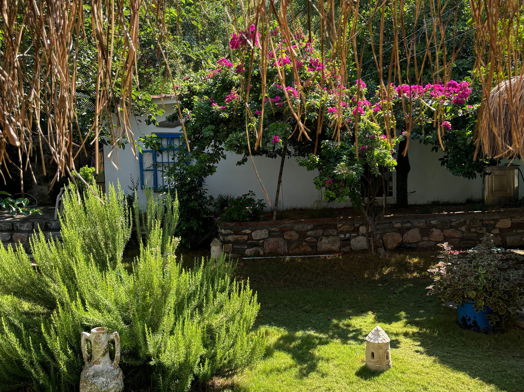 Lemon Garden Boutique Hotel主图