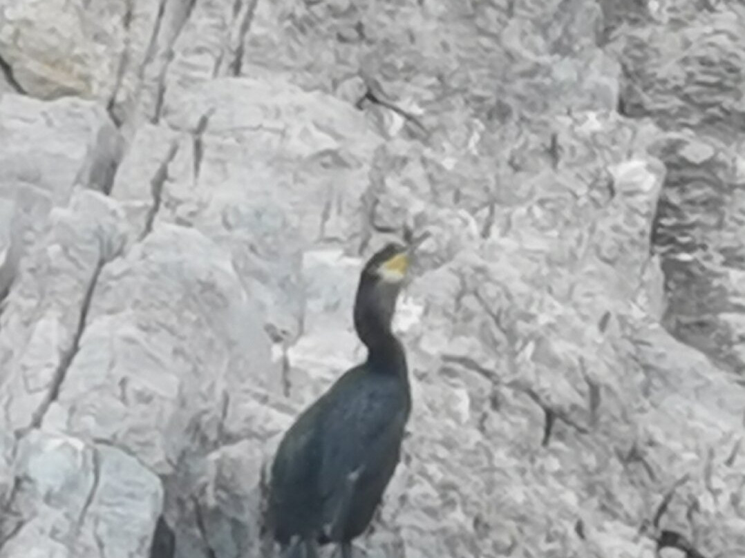 SeaKing Adventures-Platanias必去景点