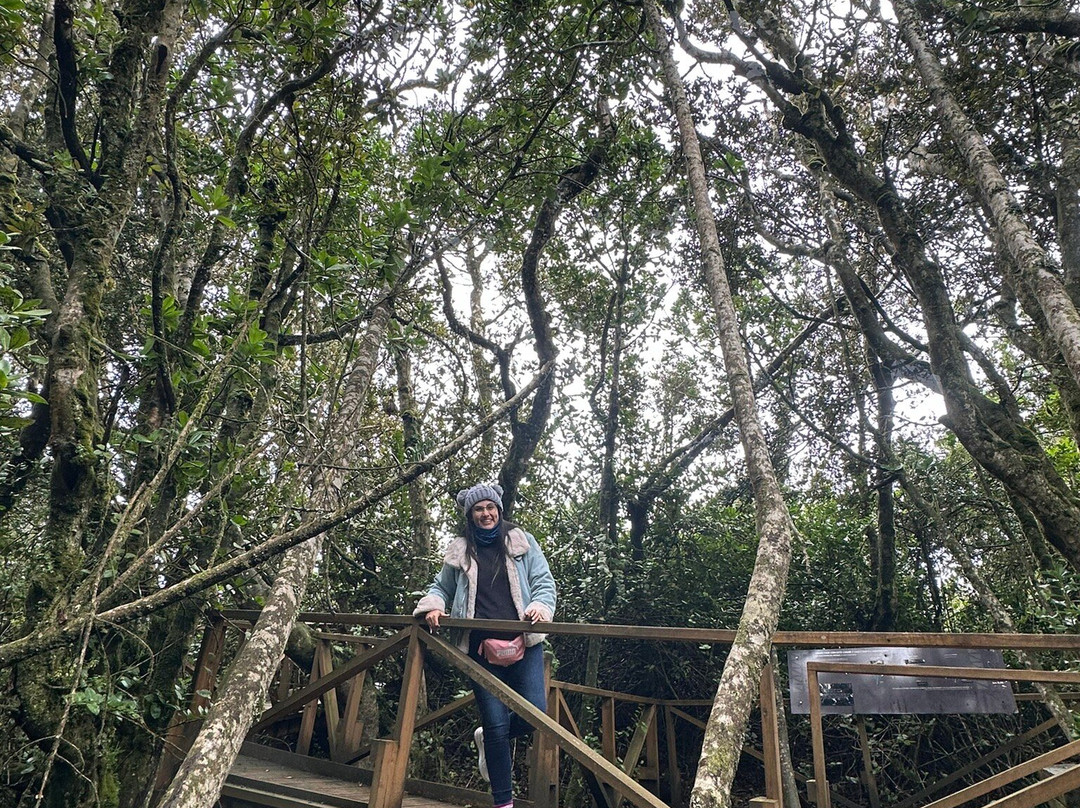 Fray Jorge National Park-拉塞雷纳必去景点