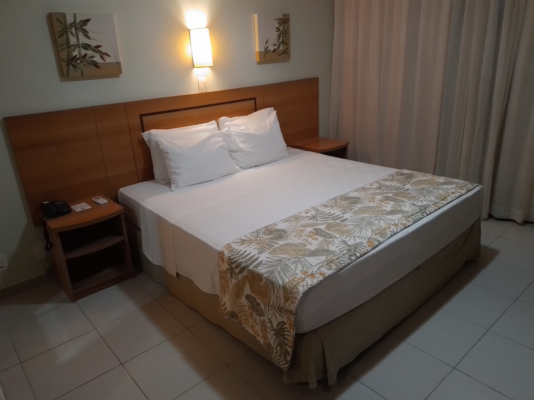 Comfort Hotel Manaus主图