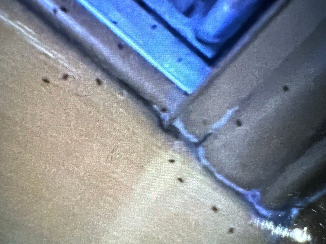 Al Borgo Bed and Breakfast主图