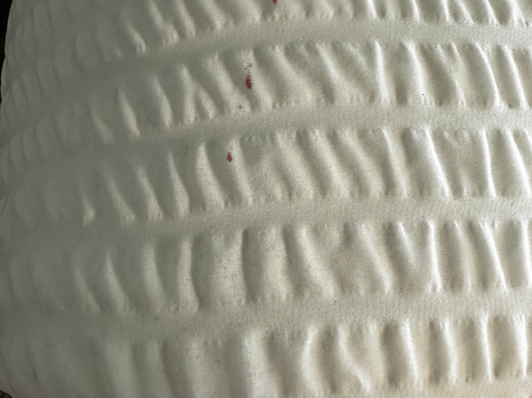 Ogunquit River Inn & Suites主图