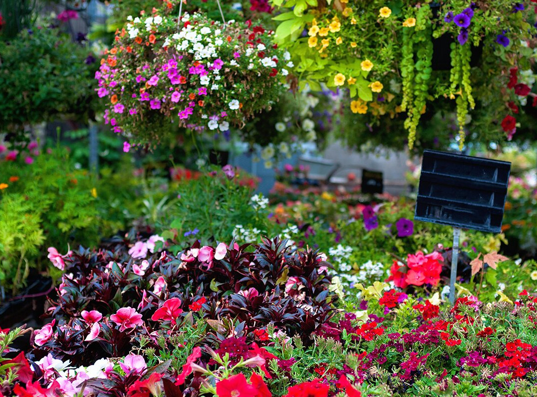 Brigg Garden Centre景点图片