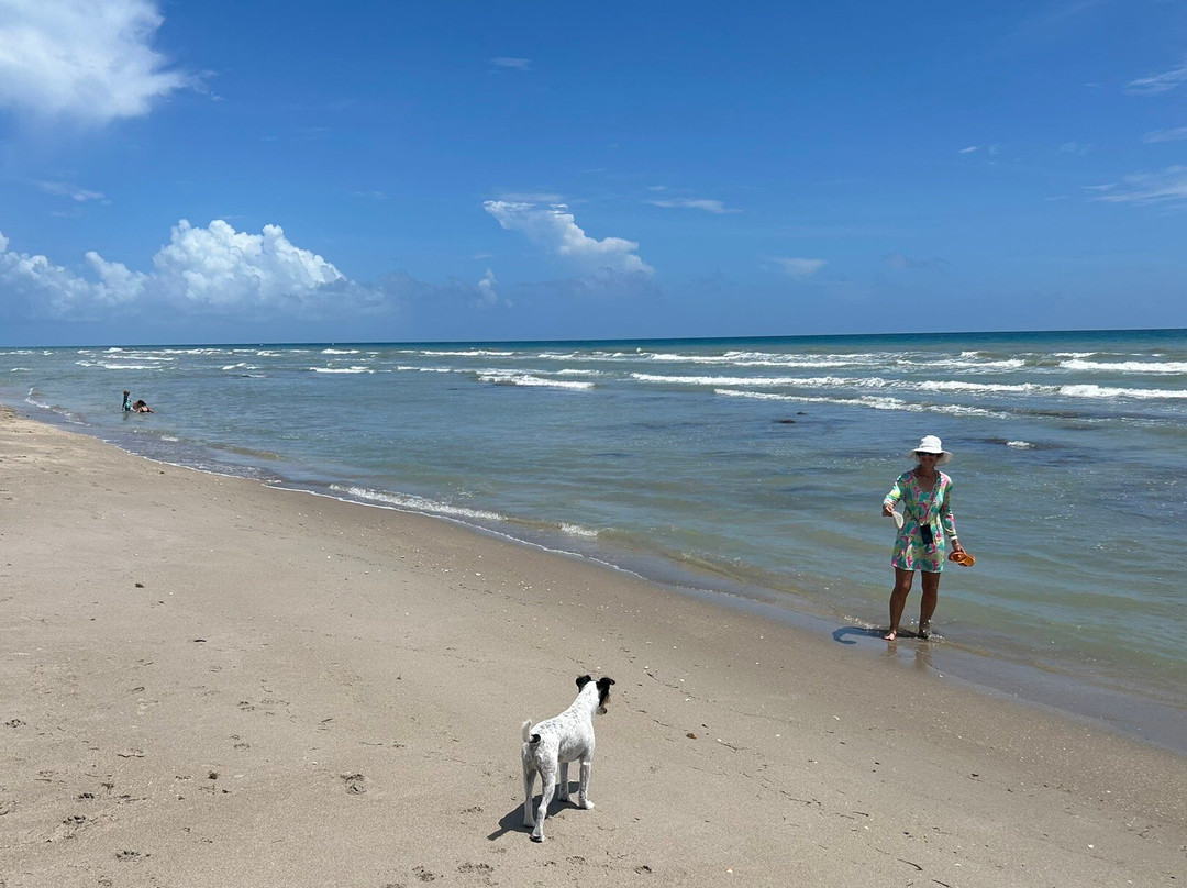 Walton Rocks Beach/ Dog Park-Jensen Beach必去景点
