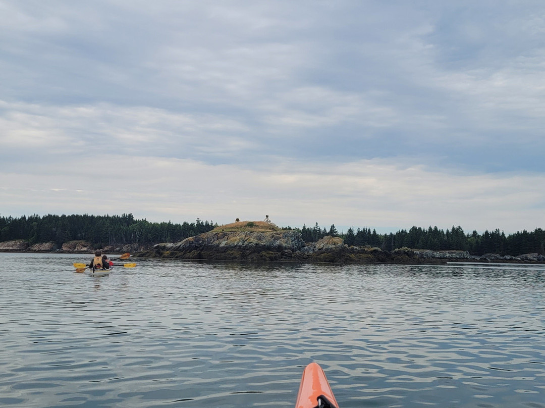 Seascape Kayak Tours Inc.景点图片