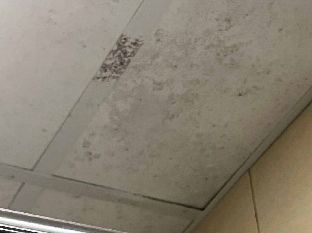 Royal Family Hotel主图