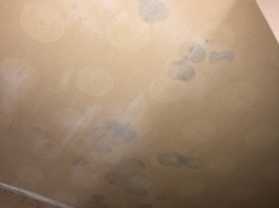 贝塞斯达美利坚饭店主图