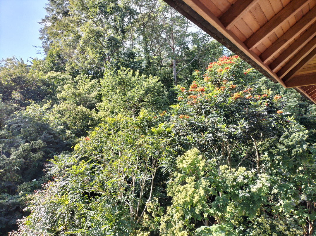 Giriwood Hotel & Villa主图