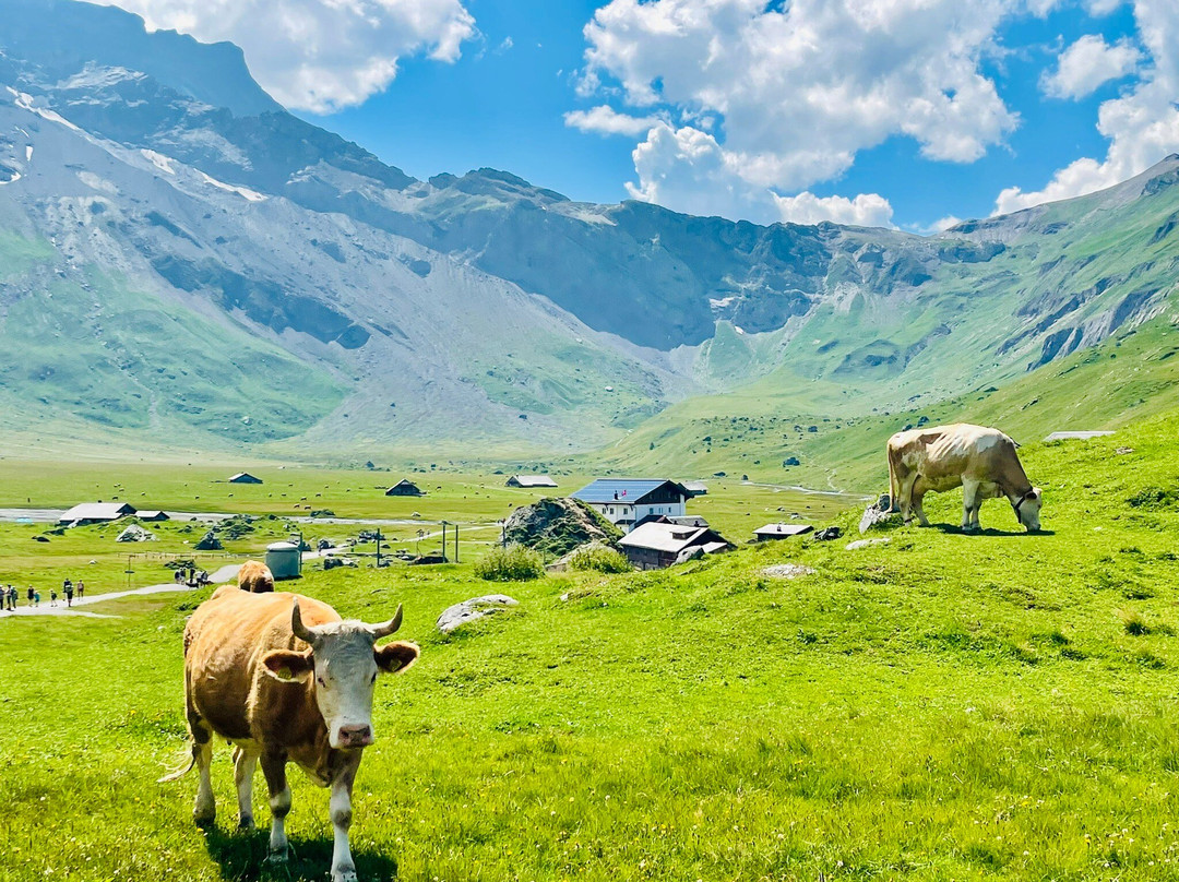 Bergbahnen Engstligenalp AG-阿德尔博登必去景点