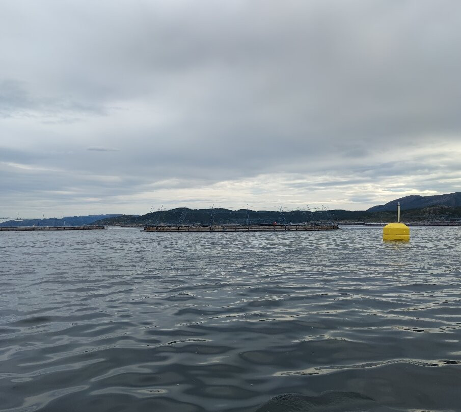 South-Trøndelag Coastalmuseum景点图片