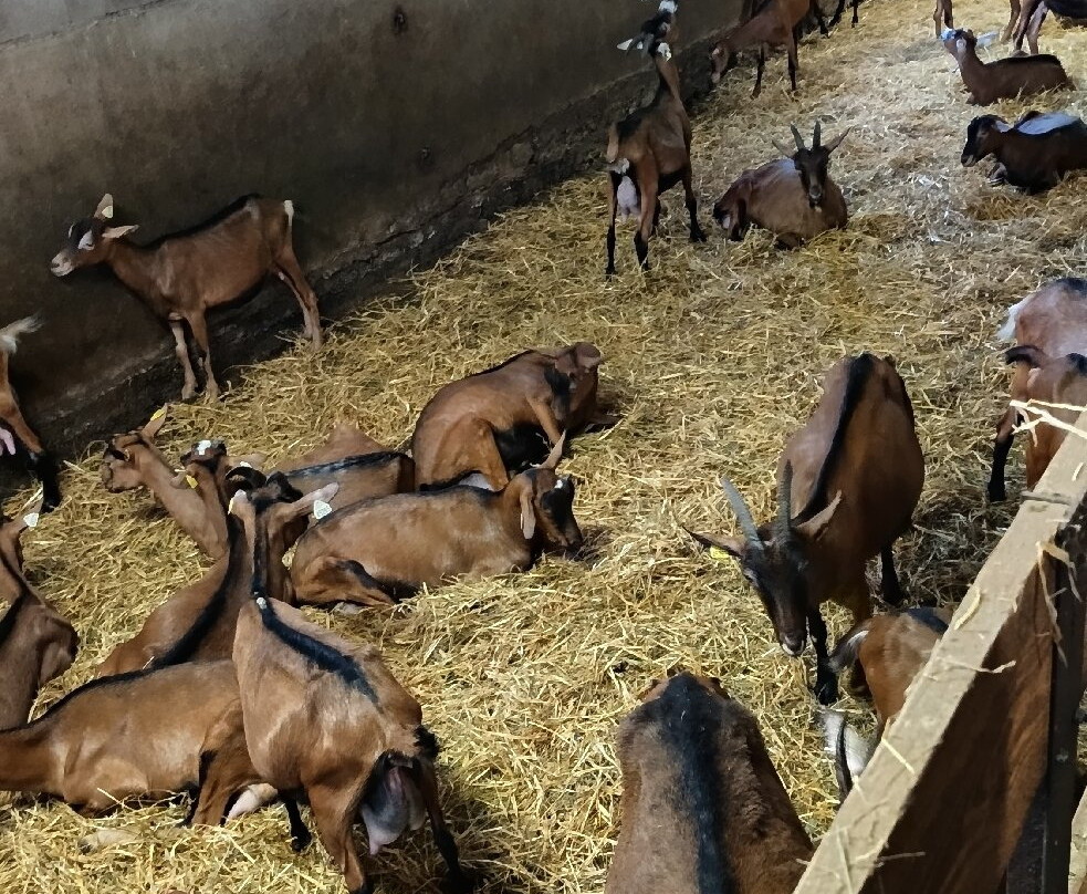 La Ferme de Vigne Haute-Reilhac必去景点