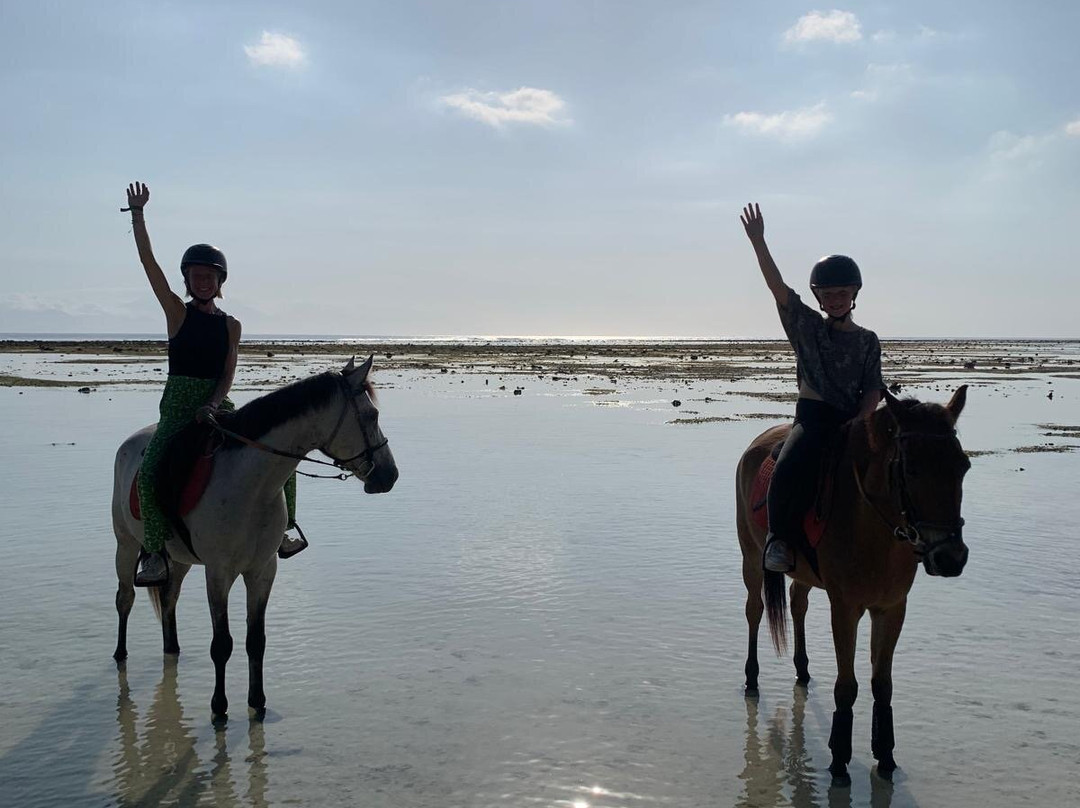 Stud Horse Riding and Rescue-吉利特拉万安必去景点