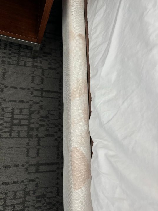 Le Méridien Atlanta Perimeter-客卧