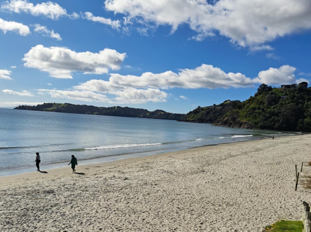 Big Aroha Tours-怀系奇岛必去景点