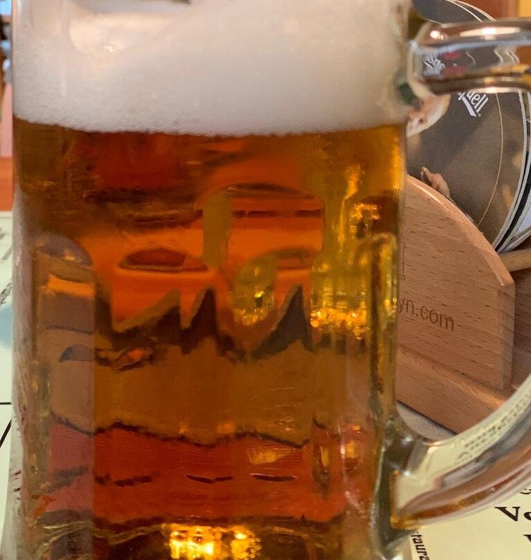 Zeleny Mlyn Pension&Restaurace主图