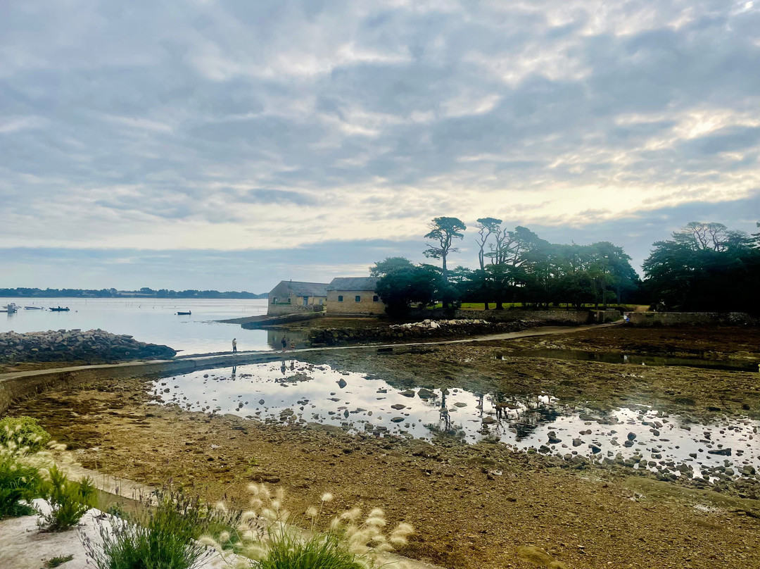 Ile de Berder景点图片