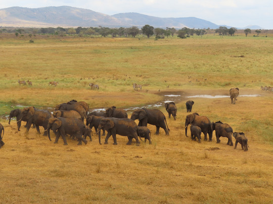 My Price Africa Adventure-蒙巴萨必去景点