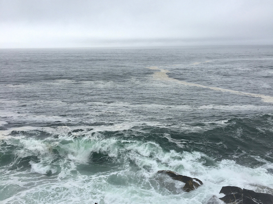 Supernova Tours Inc.-哈利法克斯必去景点