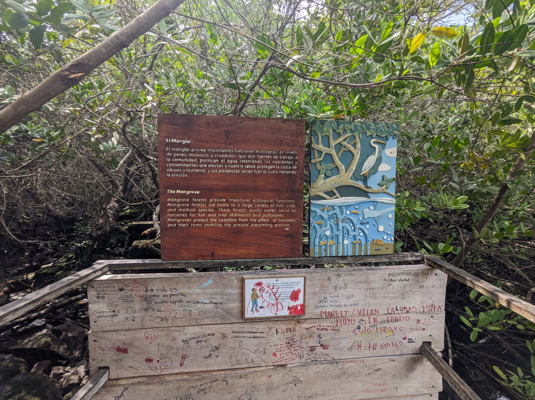 Laguna las Ninfas景点图片