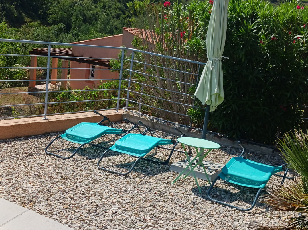 Domaine de Flo主图