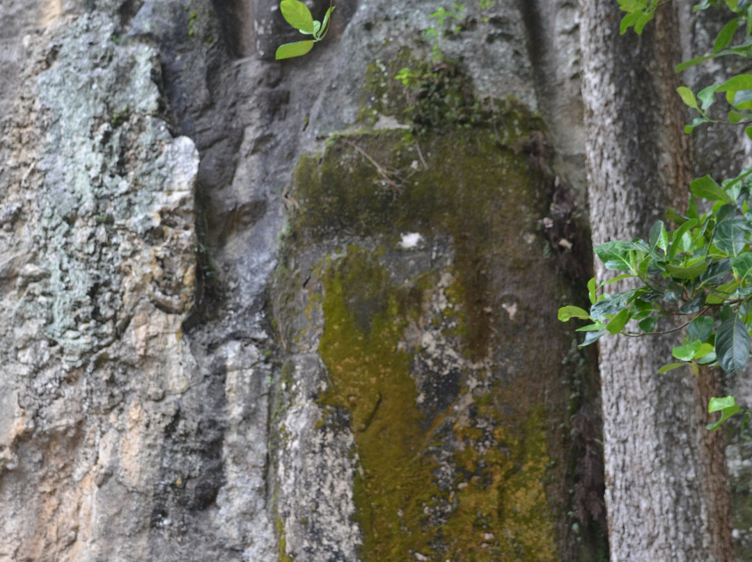 Dhowa Rock Temple景点图片