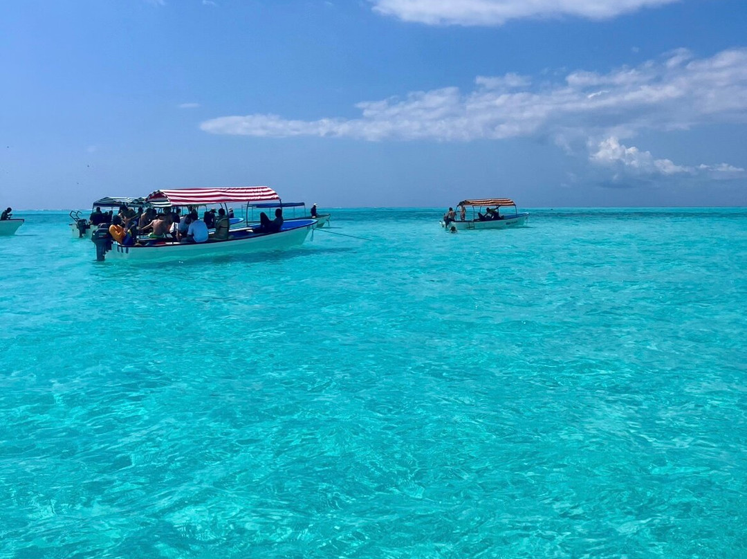 Villa Francesca Zanzibar主图