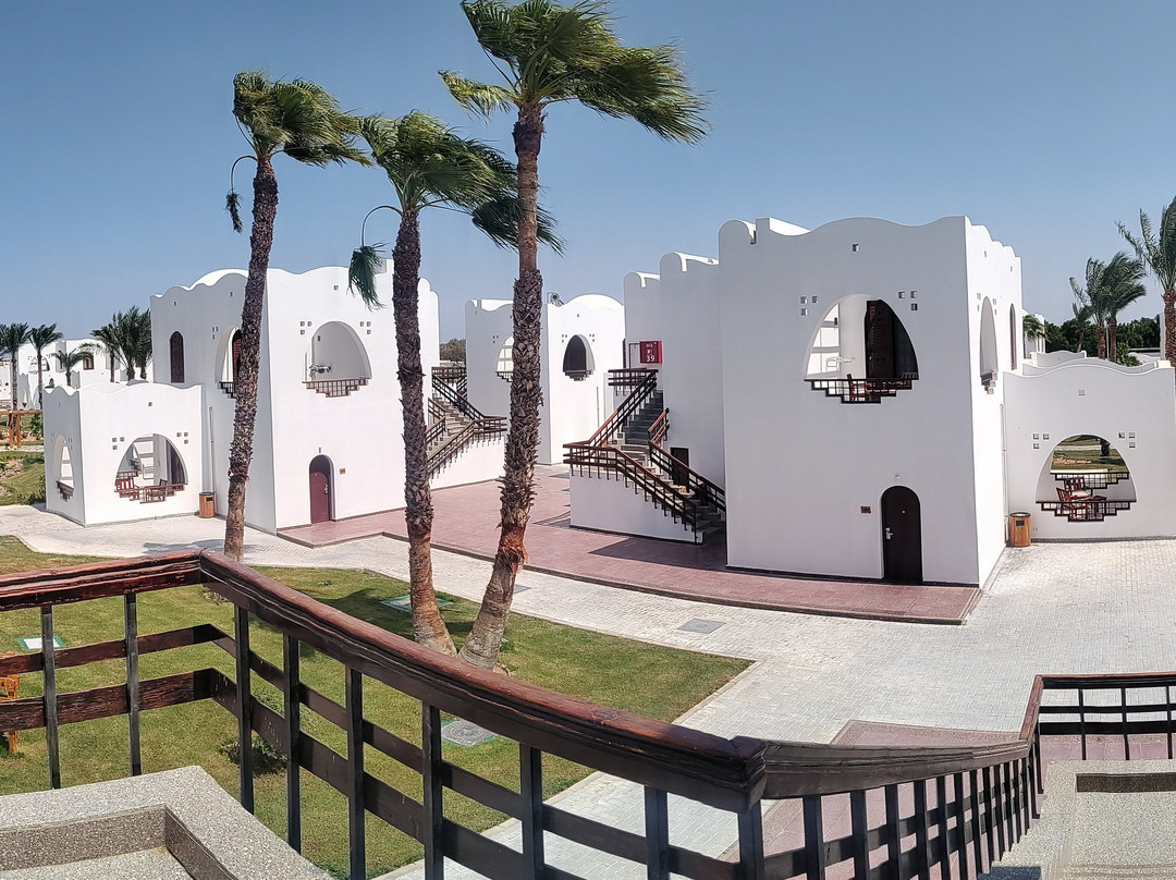 Safir Dahab Resort主图