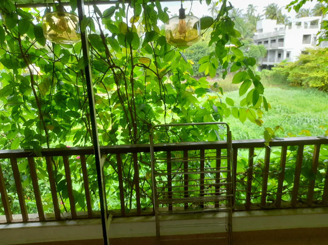 Bougainvillea Alibaug主图