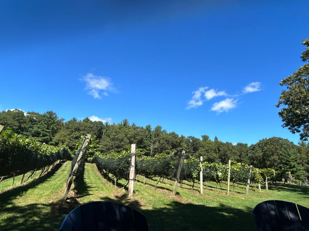 Nickle Creek Vineyard-Foster必去景点
