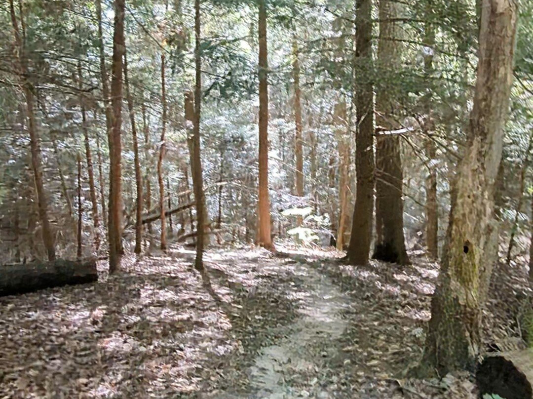 Clear Creek Metro Park-Rockbridge必去景点