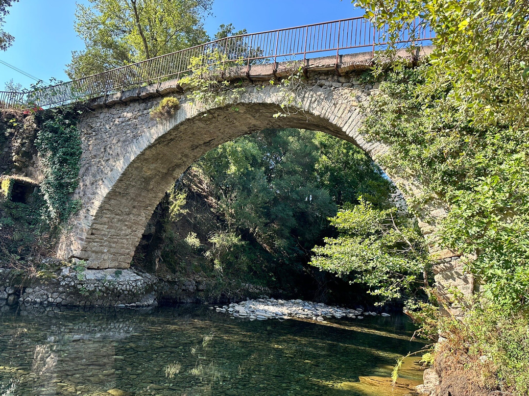 Autour du Hamac主图