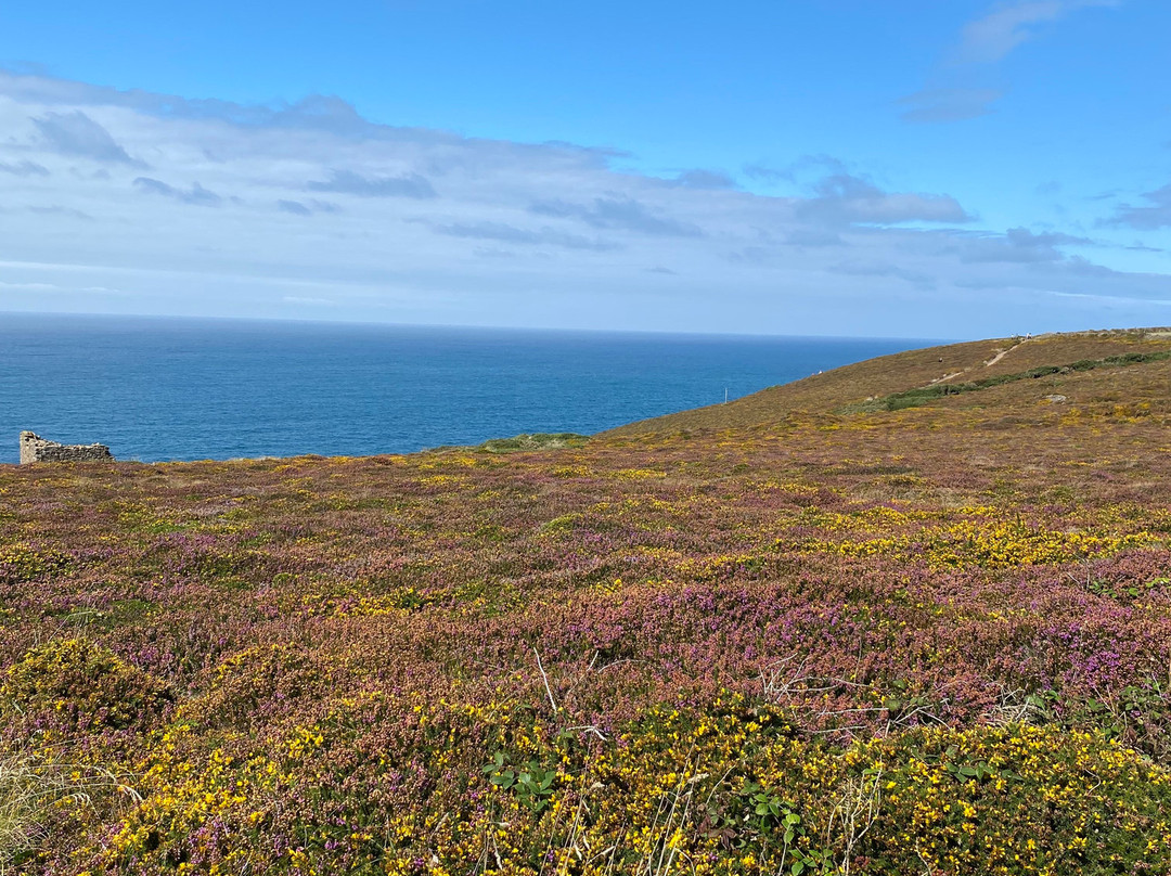 National Trust - St Agnes Head-St Agnes必去景点