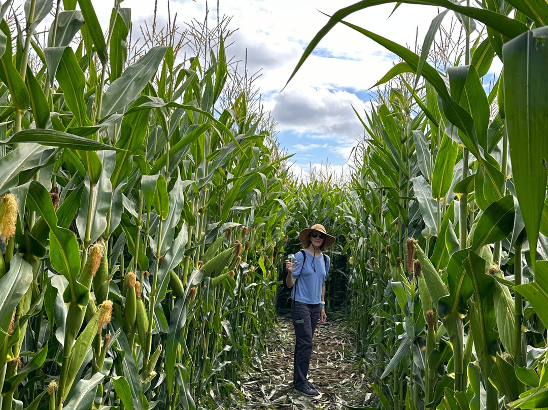 Bauman's Farm and Garden-Gervais必去景点