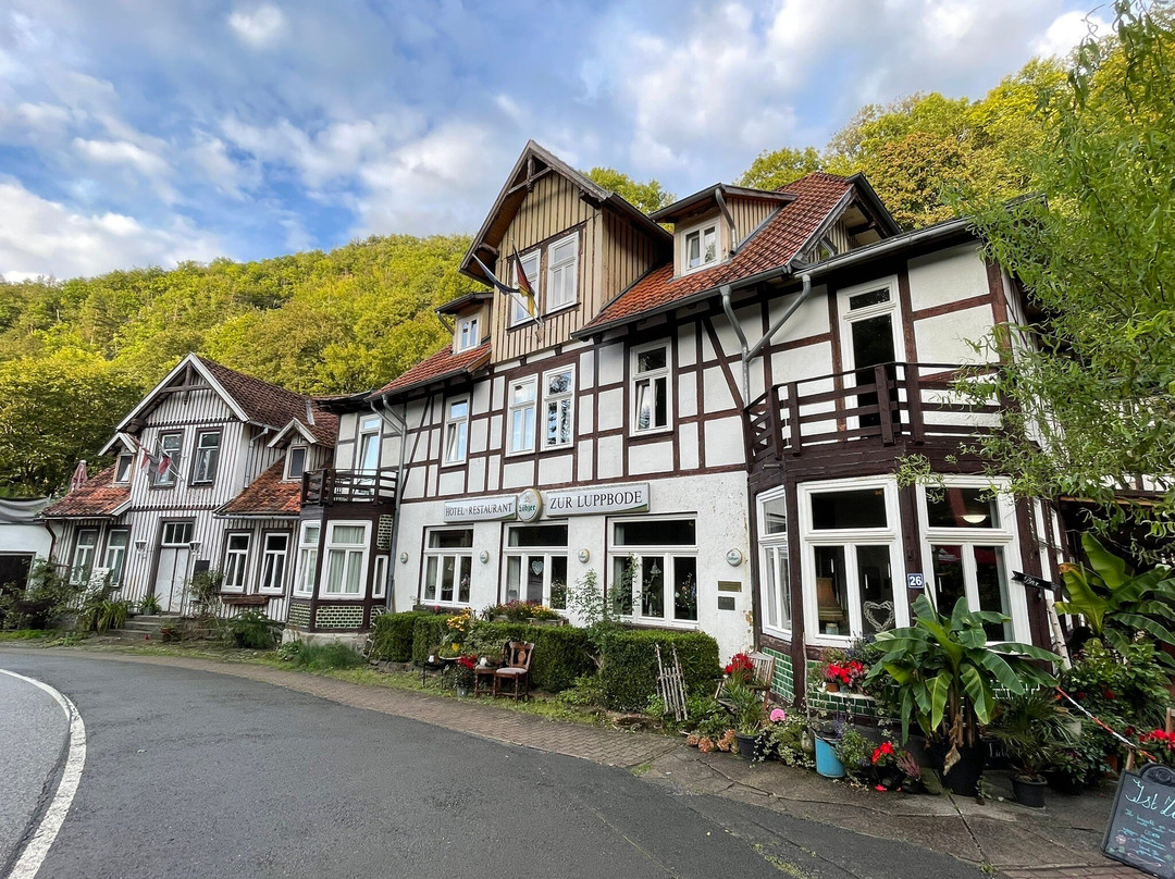 Hotel Zur Luppbode主图
