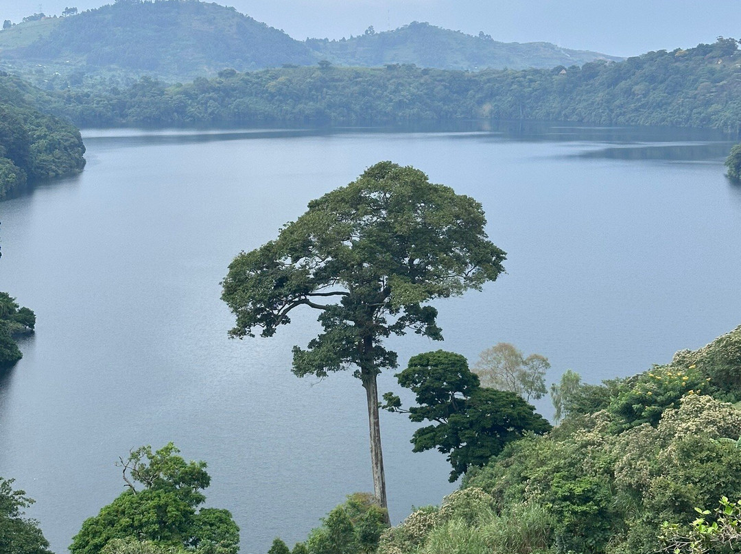 Gorilla Safari Consultants-坎帕拉必去景点