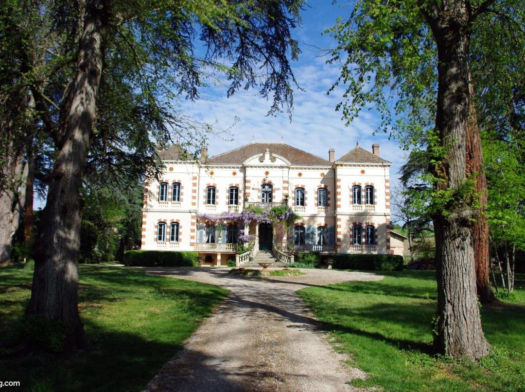 Gaillac酒店住宿-Château Sainte Cécile