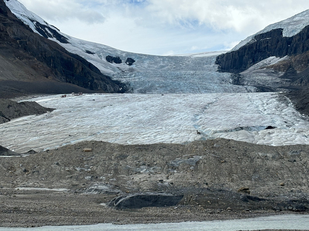 Athabasca Glacier-贾斯珀国家公园必去景点