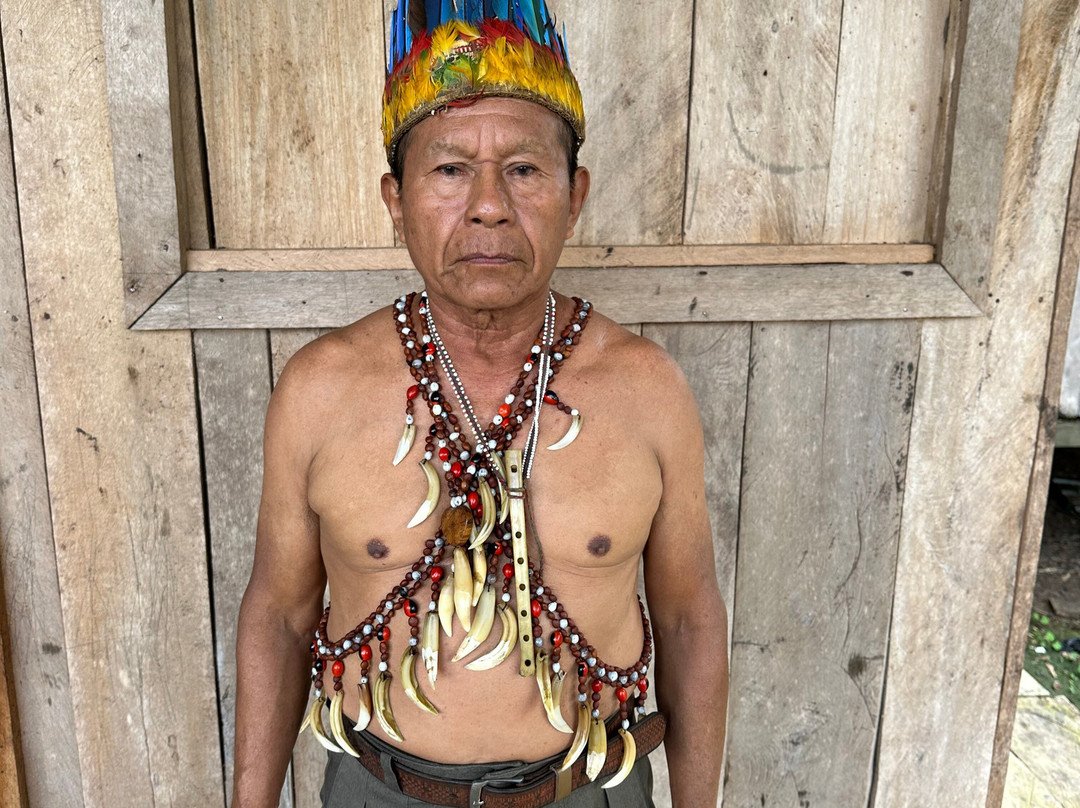 Amayas Ayahuasca Ecuador-Cotundo必去景点