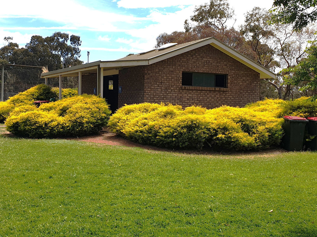 Apex Park-帕德萨韦必去景点