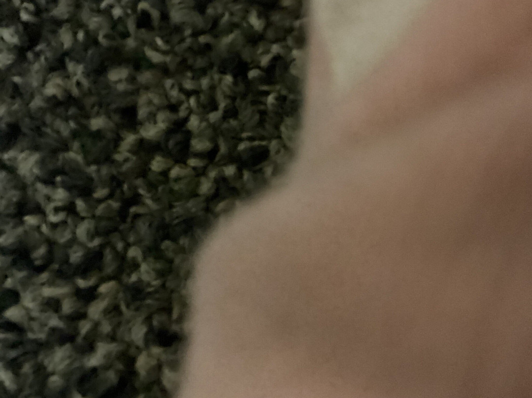 Hotel Del Bosque主图