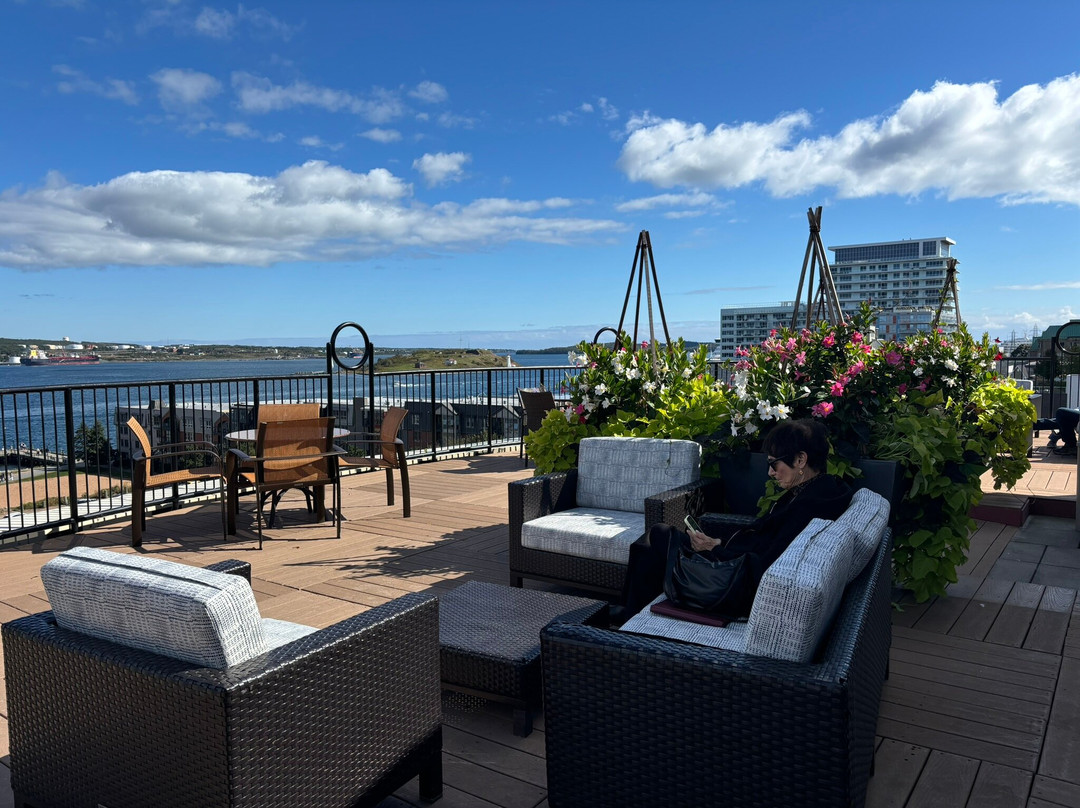 哈利法克斯市中心万怡酒店主图