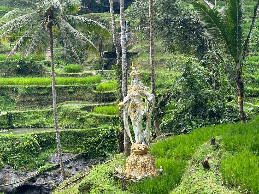Ubud Daily Trips景点图片