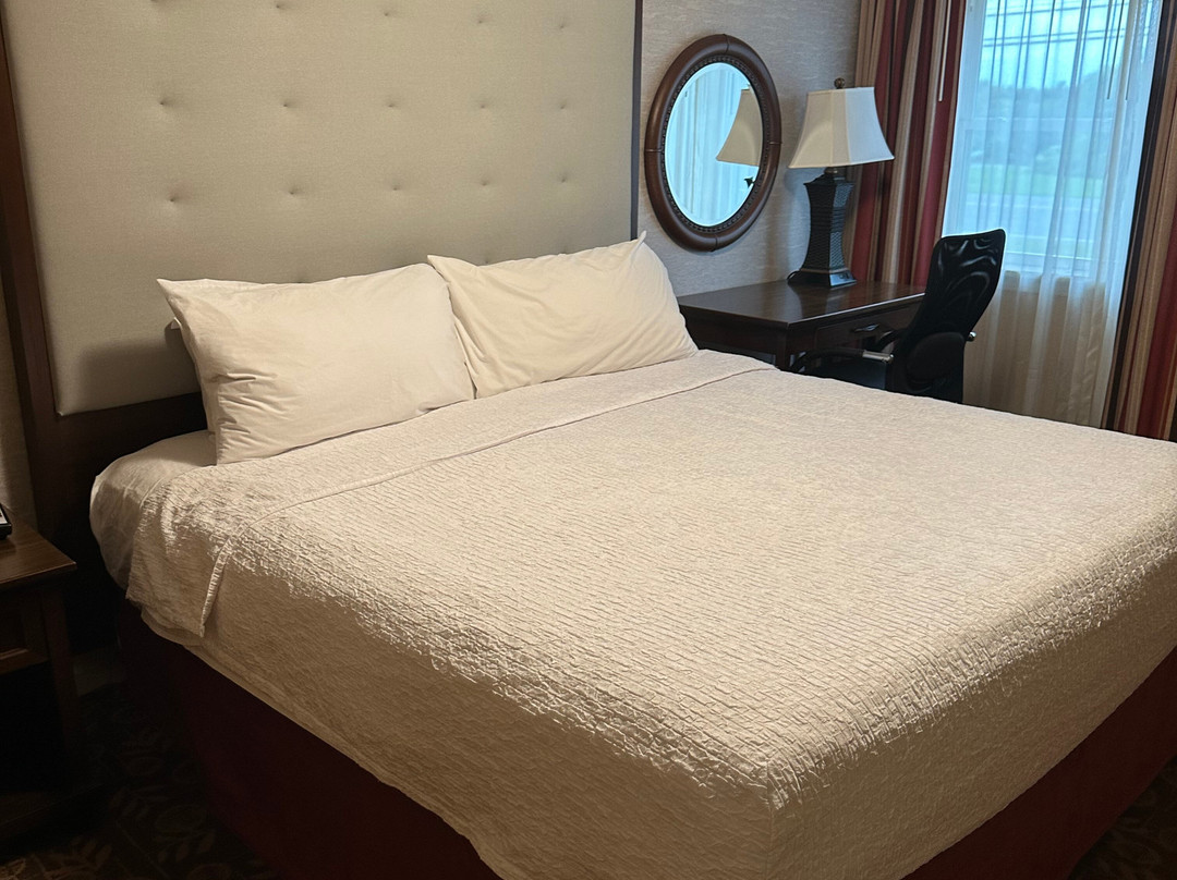 Homewood Suites By Hilton Syracuse/liverpool主图