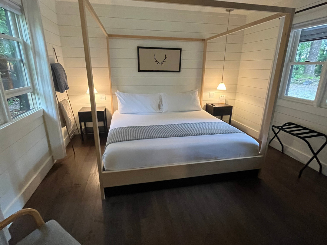 The Wells Cashiers主图