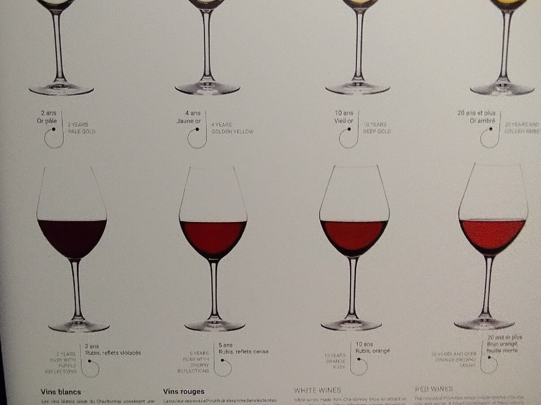 Cité des Climats & vins de Bourgogne景点图片