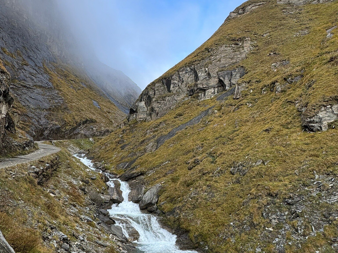 Hotel Alpenrose主图