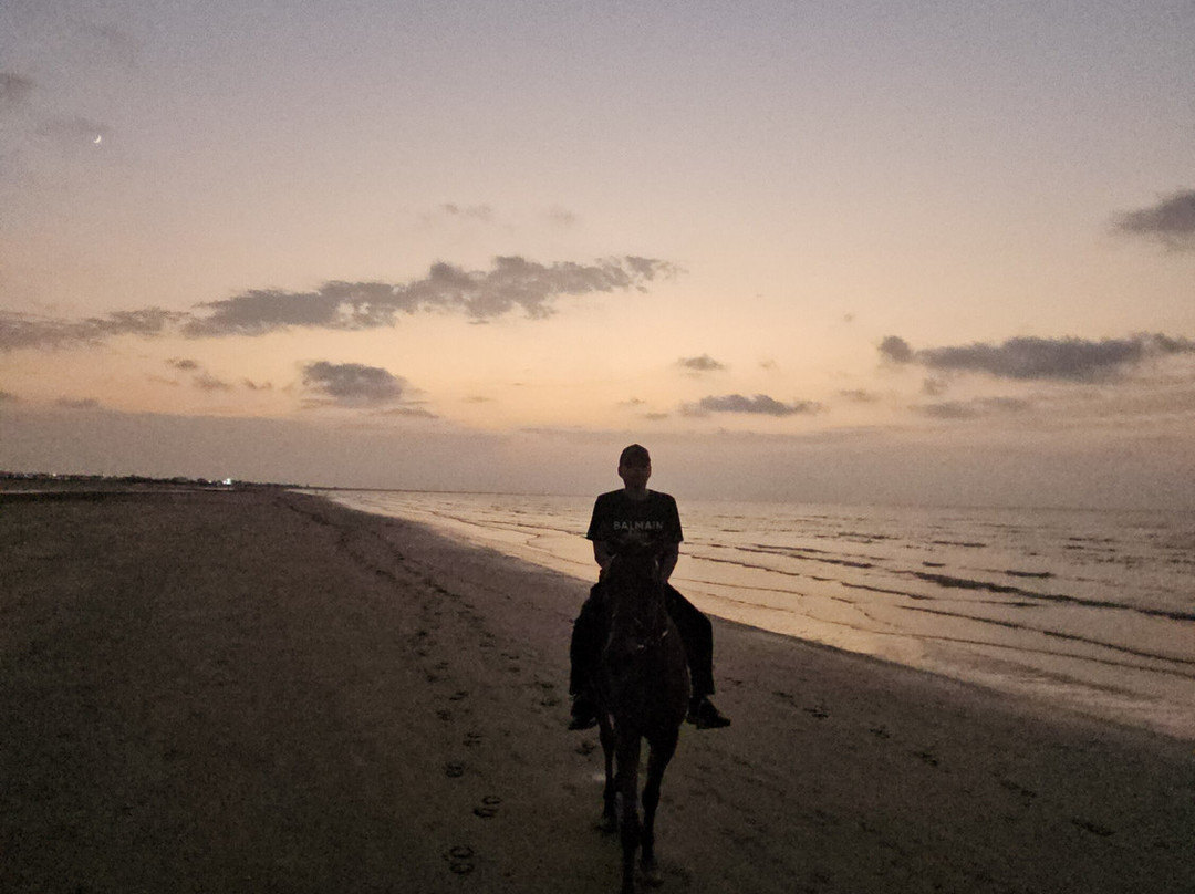 Horse Riding Oman景点图片