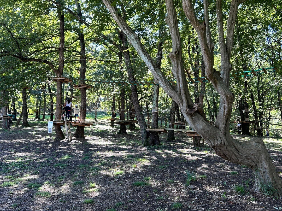 Parco Avventura Postiglione景点图片